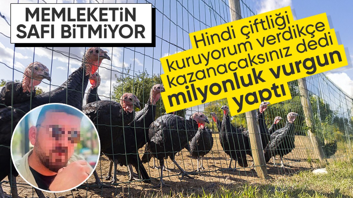 Ankara’da yeni ‘Çiftlik Bank’ vakası: 50 milyonluk hindi çiftliği vurgunu ortaya çıktı