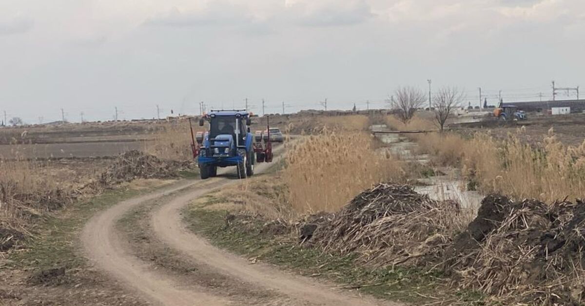Traktöre bağlanan mibzerin altında kalan kişi öldü