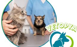 Urla Veteriner Kliniği